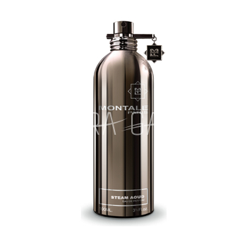 MONTALE Aoud Steam