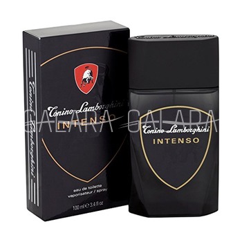 TONINO LAMBORGHINI Intenso